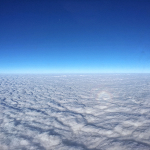 四房播播开心五月
